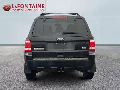2010 Ford Escape XLT