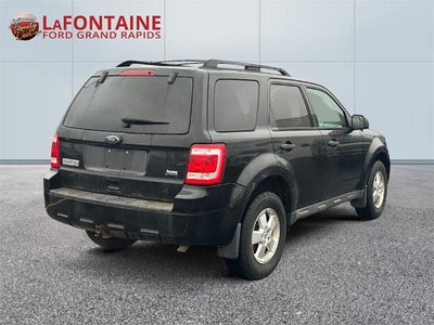 2010 Ford Escape XLT