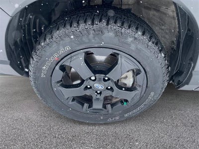 2023 Subaru Forester Wilderness