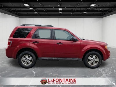 2010 Ford Escape XLT